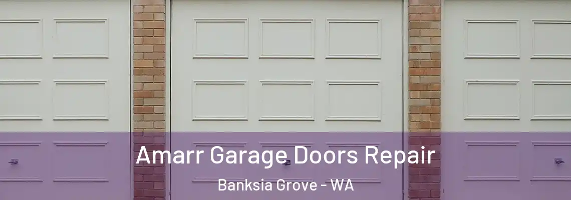 Amarr Garage Doors Repair Banksia Grove - WA