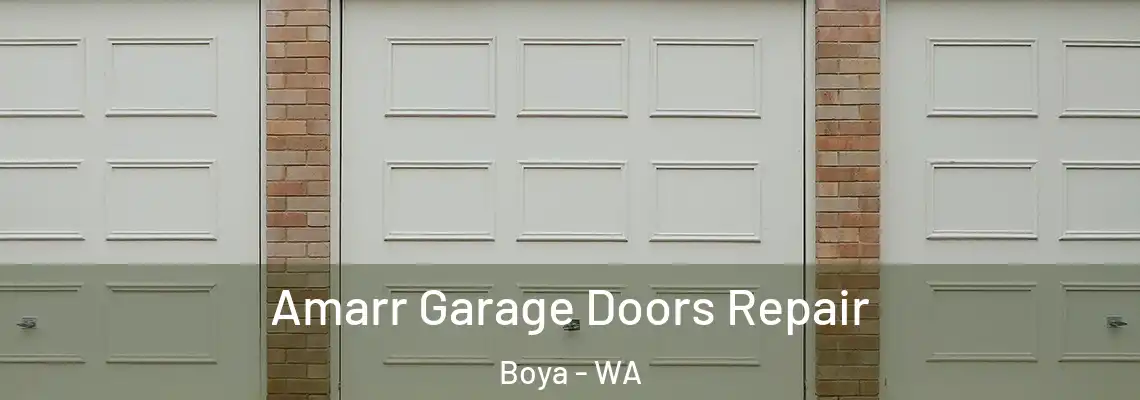  Amarr Garage Doors Repair Boya - WA