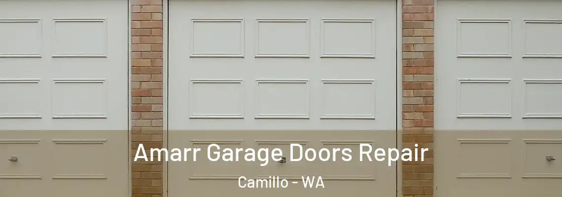 Amarr Garage Doors Repair Camillo - WA