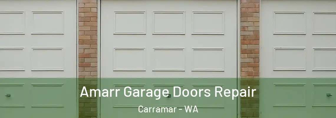  Amarr Garage Doors Repair Carramar - WA
