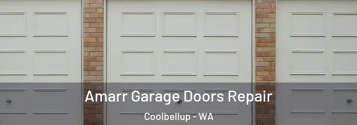 Amarr Garage Doors Repair Coolbellup - WA