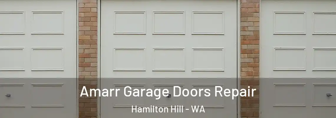  Amarr Garage Doors Repair Hamilton Hill - WA