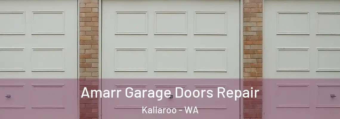 Amarr Garage Doors Repair Kallaroo - WA