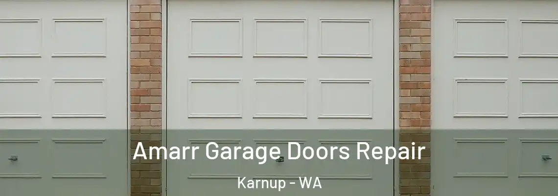 Amarr Garage Doors Repair Karnup - WA