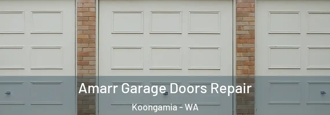 Amarr Garage Doors Repair Koongamia - WA