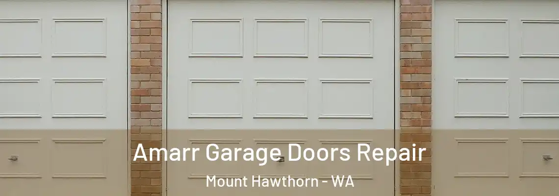 Amarr Garage Doors Repair Mount Hawthorn - WA