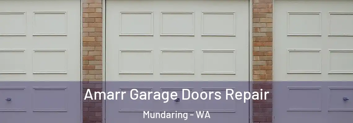 Amarr Garage Doors Repair Mundaring - WA