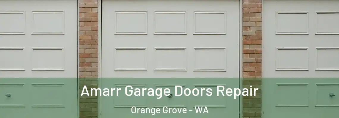  Amarr Garage Doors Repair Orange Grove - WA