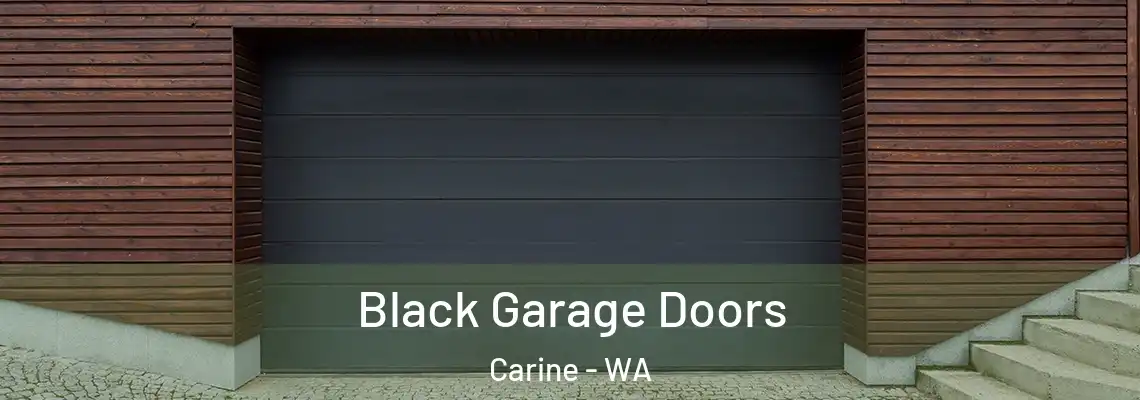  Black Garage Doors Carine - WA