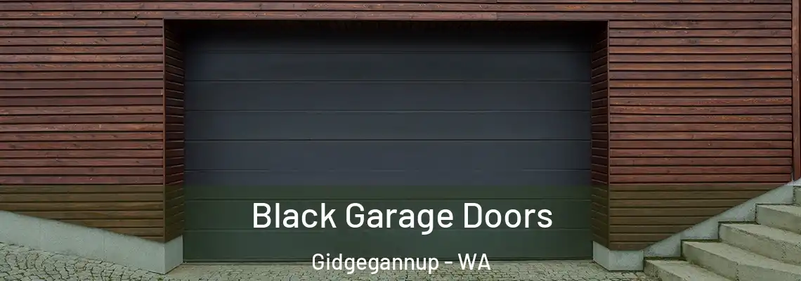  Black Garage Doors Gidgegannup - WA