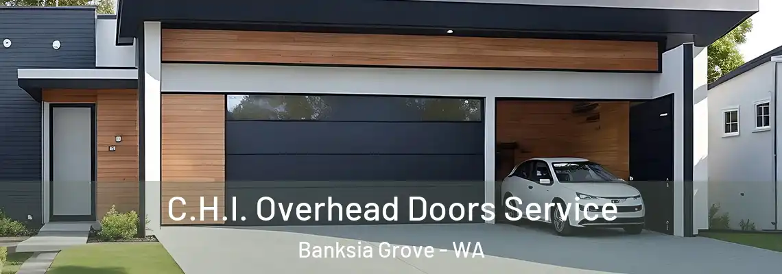  C.H.I. Overhead Doors Service Banksia Grove - WA