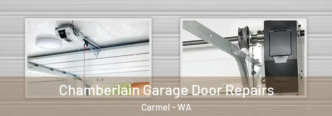  Chamberlain Garage Door Repairs Carmel - WA