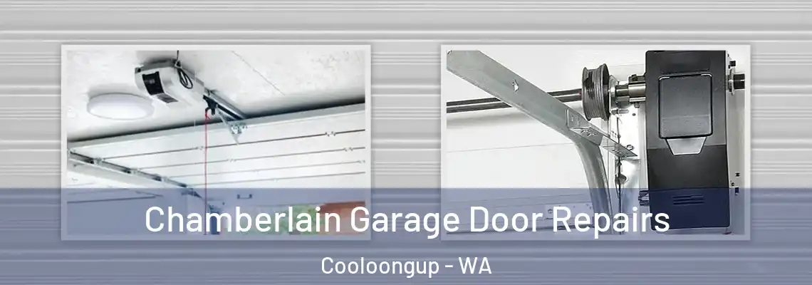 Chamberlain Garage Door Repairs Cooloongup - WA