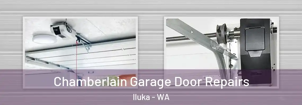  Chamberlain Garage Door Repairs Iluka - WA