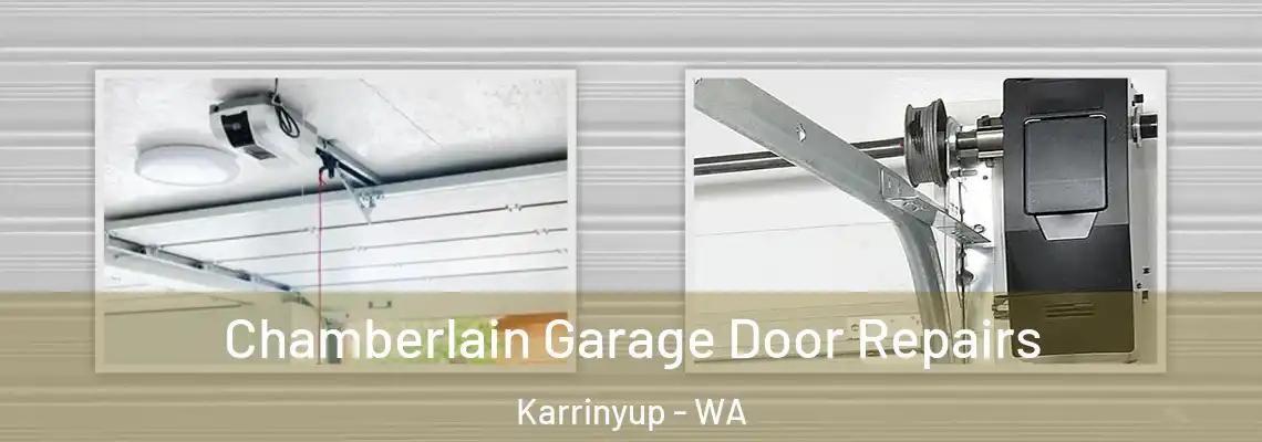  Chamberlain Garage Door Repairs Karrinyup - WA