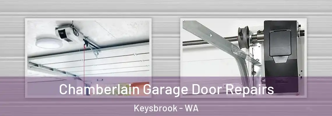  Chamberlain Garage Door Repairs Keysbrook - WA