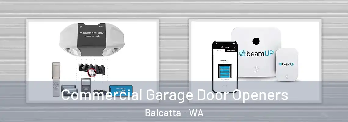  Commercial Garage Door Openers Balcatta - WA