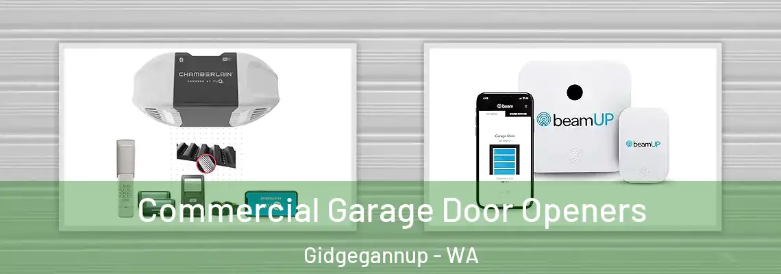  Commercial Garage Door Openers Gidgegannup - WA