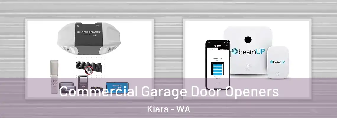  Commercial Garage Door Openers Kiara - WA