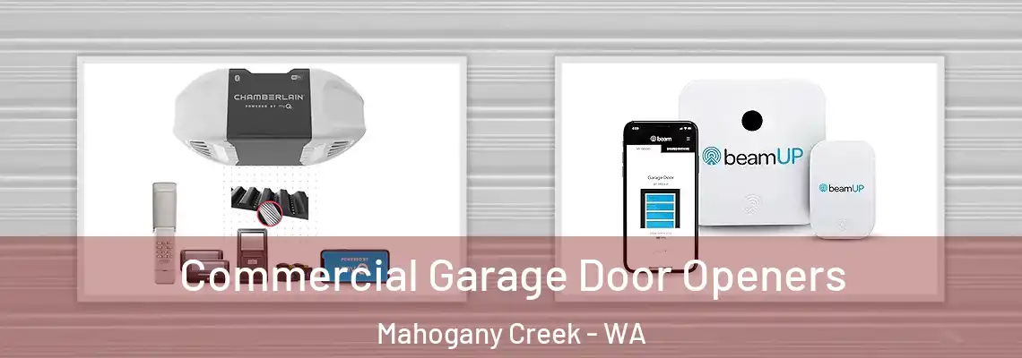  Commercial Garage Door Openers Mahogany Creek - WA