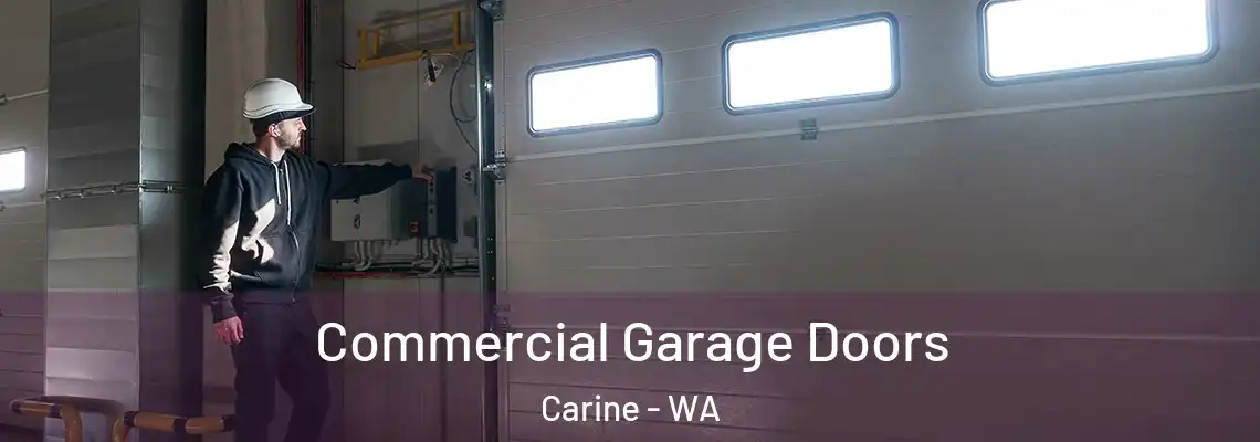  Commercial Garage Doors Carine - WA