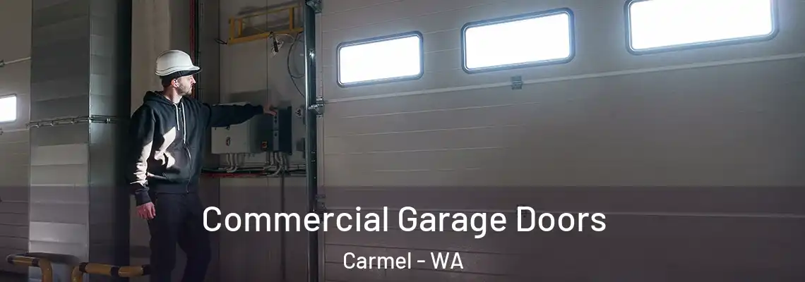  Commercial Garage Doors Carmel - WA