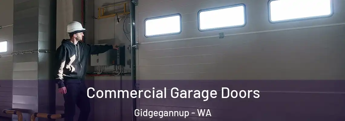 Commercial Garage Doors Gidgegannup - WA