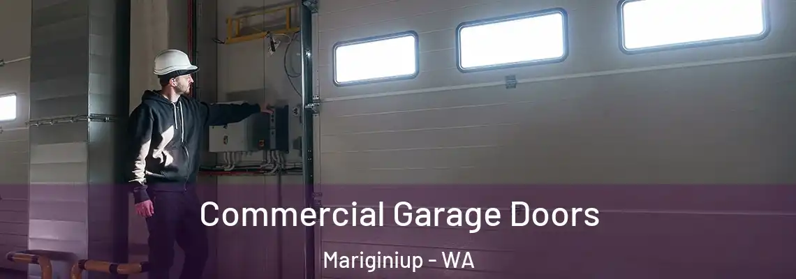 Commercial Garage Doors Mariginiup - WA