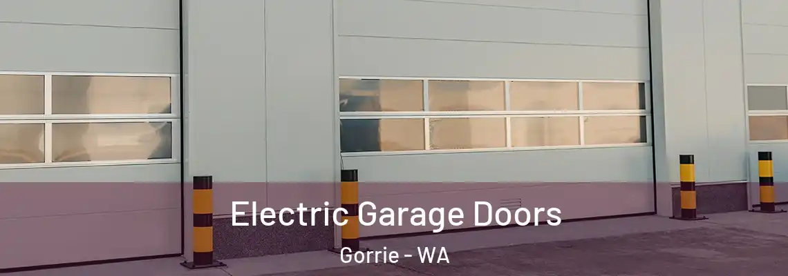  Electric Garage Doors Gorrie - WA