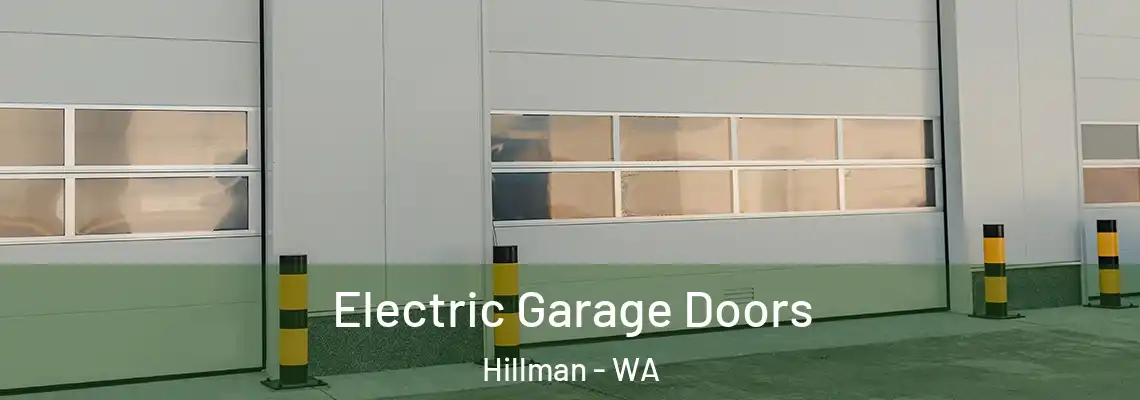  Electric Garage Doors Hillman - WA