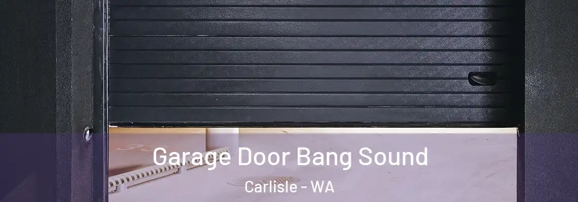  Garage Door Bang Sound Carlisle - WA