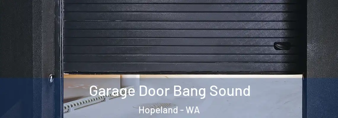 Garage Door Bang Sound Hopeland - WA