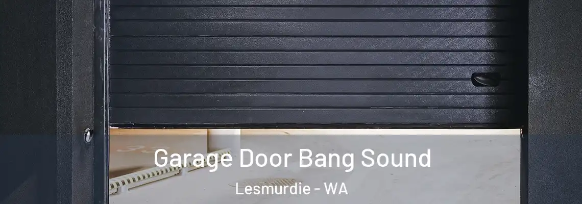  Garage Door Bang Sound Lesmurdie - WA