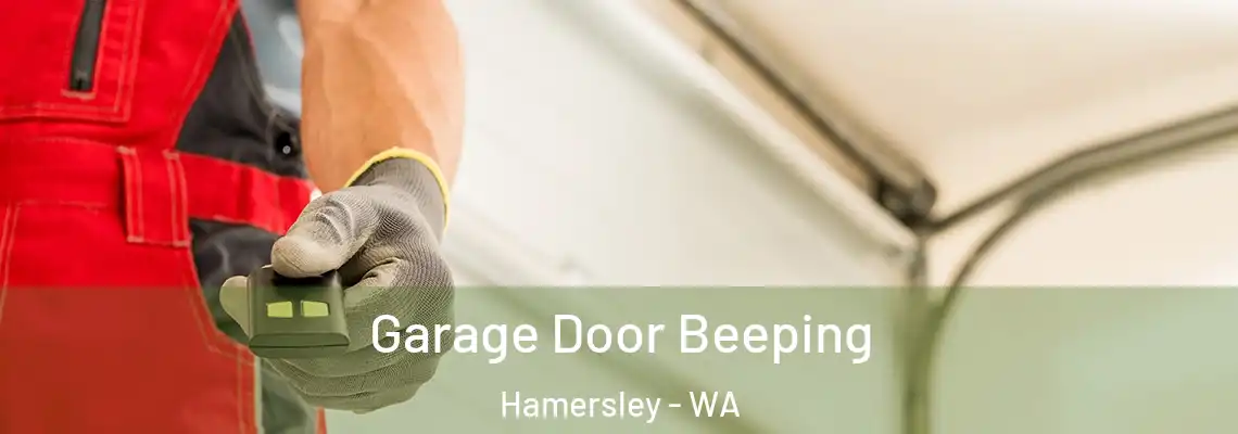  Garage Door Beeping Hamersley - WA