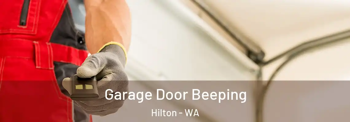  Garage Door Beeping Hilton - WA