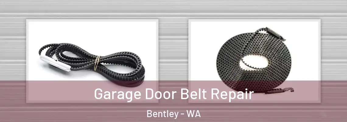  Garage Door Belt Repair Bentley - WA