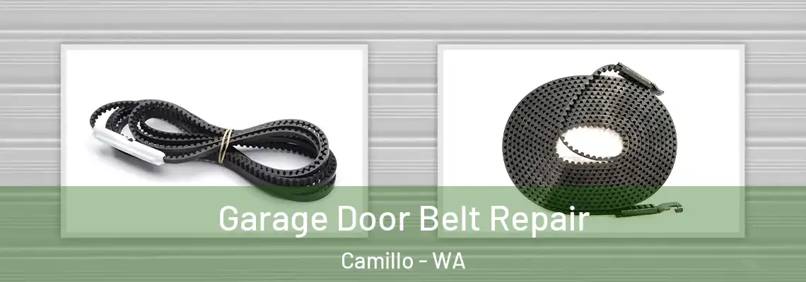  Garage Door Belt Repair Camillo - WA