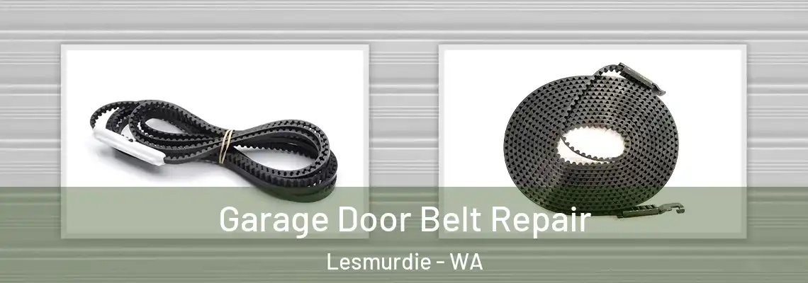  Garage Door Belt Repair Lesmurdie - WA