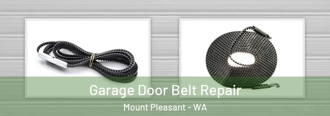  Garage Door Belt Repair Mount Pleasant - WA