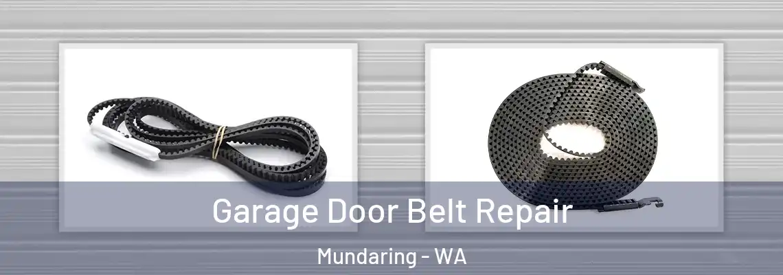  Garage Door Belt Repair Mundaring - WA