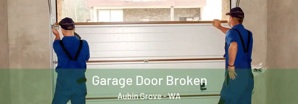  Garage Door Broken Aubin Grove - WA