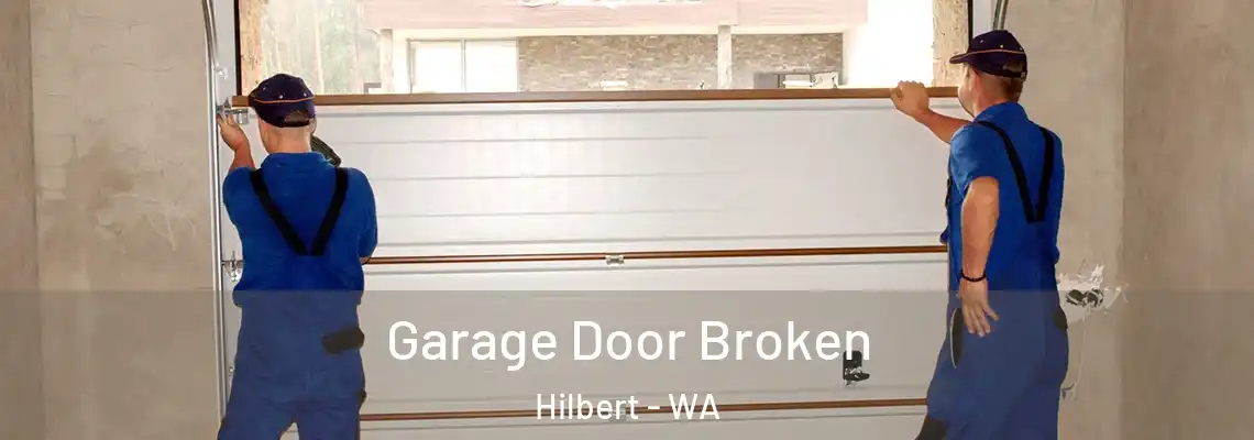  Garage Door Broken Hilbert - WA