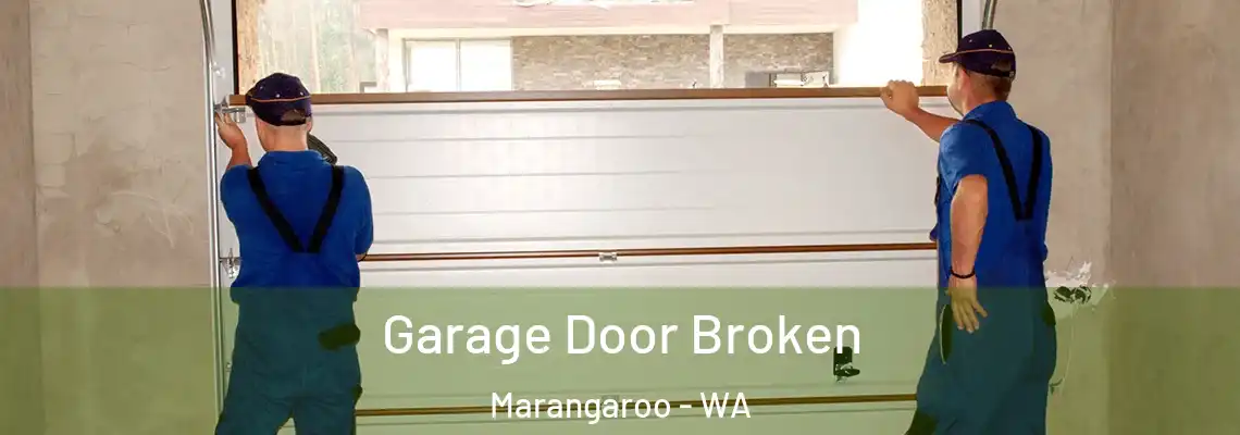  Garage Door Broken Marangaroo - WA