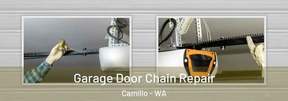  Garage Door Chain Repair Camillo - WA