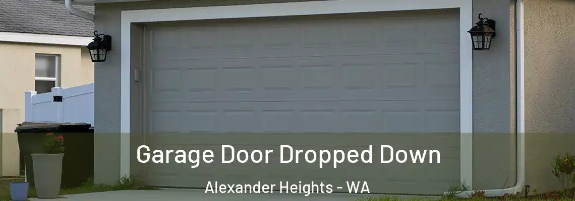 Garage Door Dropped Down Alexander Heights - WA