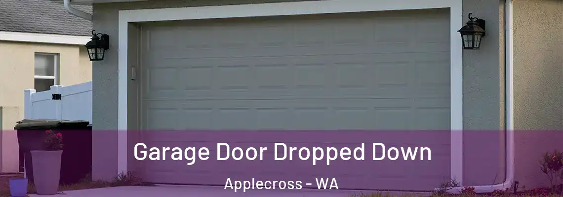  Garage Door Dropped Down Applecross - WA