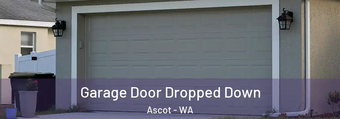  Garage Door Dropped Down Ascot - WA