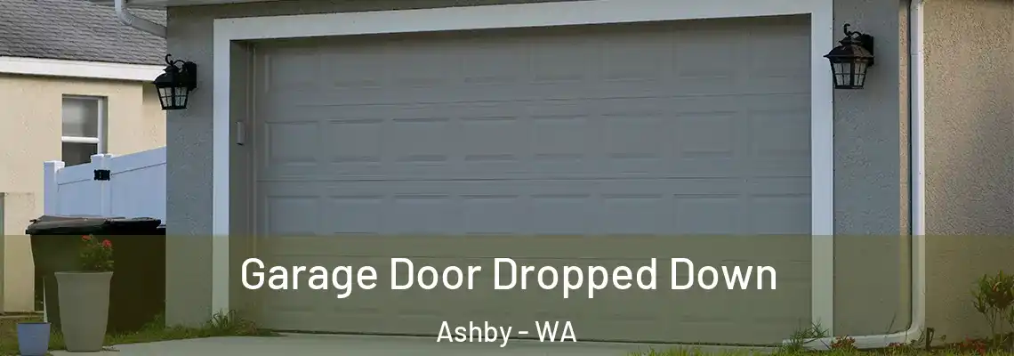  Garage Door Dropped Down Ashby - WA