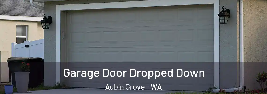  Garage Door Dropped Down Aubin Grove - WA
