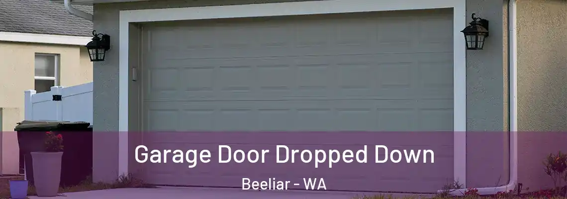  Garage Door Dropped Down Beeliar - WA
